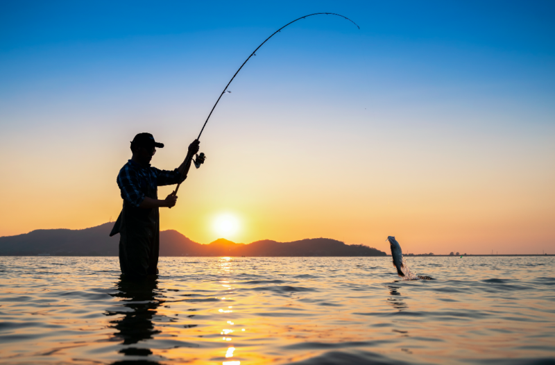 Angler catching a fish at sunset